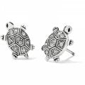 J22311 Fortune Turtles Mini Post Earrings